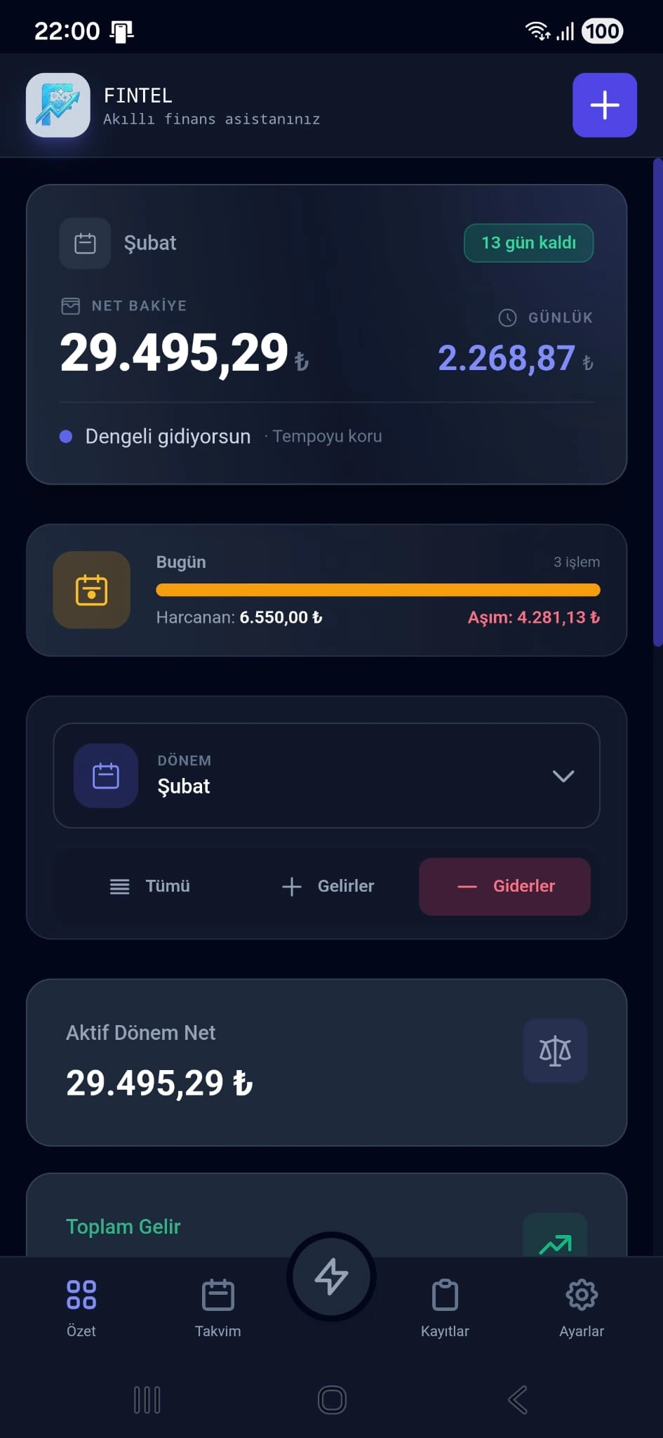 Fintel uygulama arayüzü